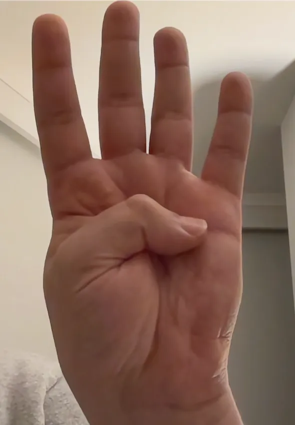 Hand 4