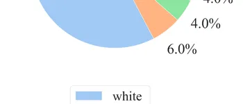 Validation annotator race