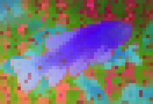 PCA Features (No Registers)