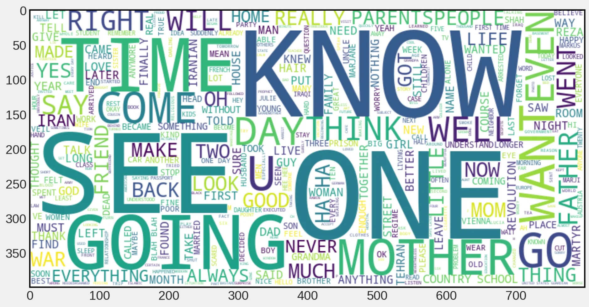 Word Cloud